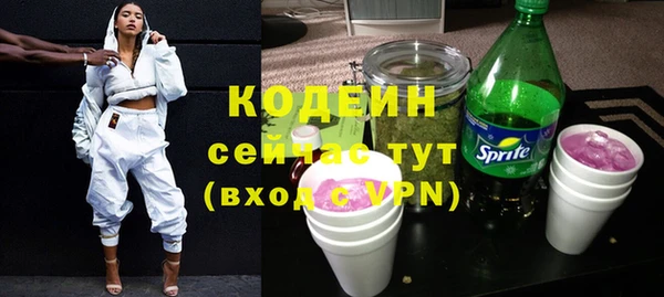 мдпв Корсаков