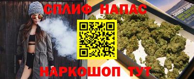 дживик Моздок