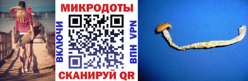 MEGA зеркало  Невинномысск  Псилоцибиновые грибы Psilocybine cubensis  даркнет сайт 