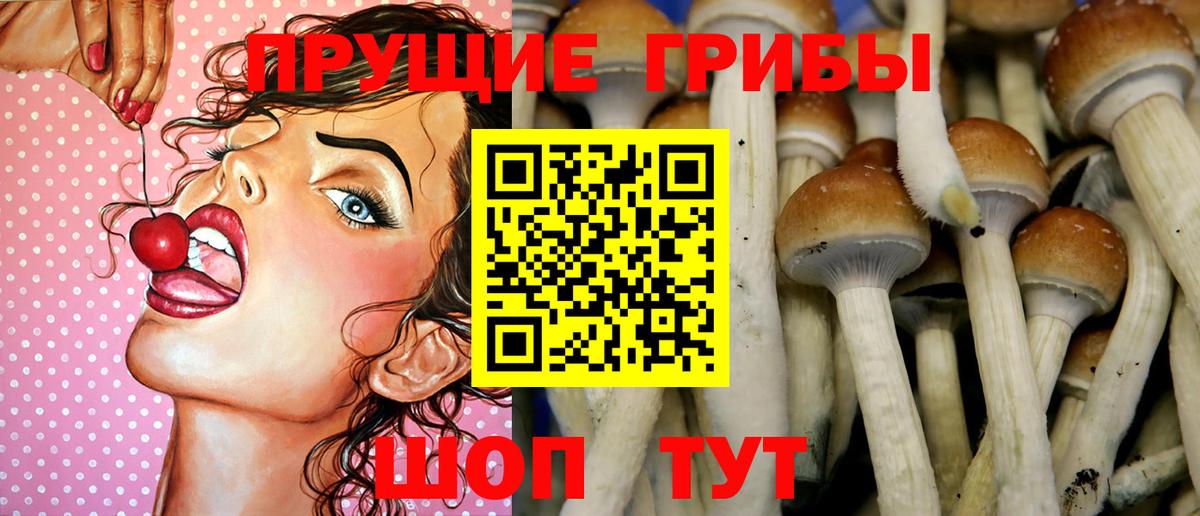 Галлюциногенные грибы ЛСД  Вход с VPN  Невинномысск 