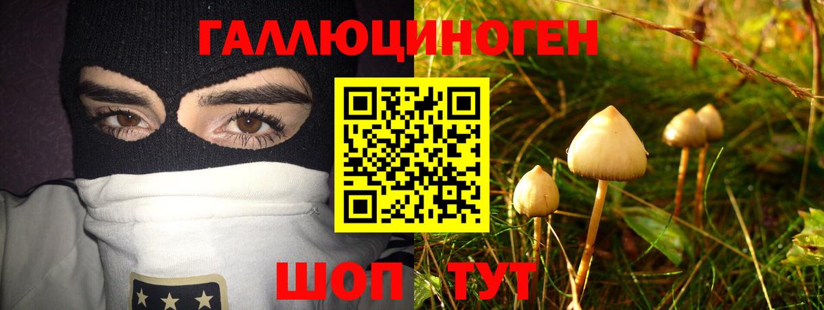 Галлюциногенные грибы прущие грибы Невинномысск